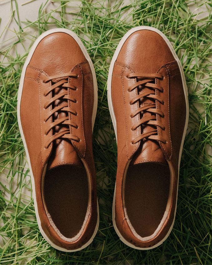 KOIO capritivo regenerativo HX4VD37 sapato castagna homens